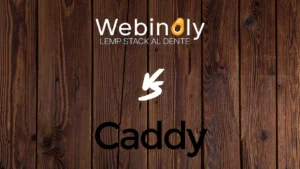 Webinoly or Caddy