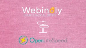 Webinoly or OpenLiteSpeed Choosing the Right Tool for Your Website